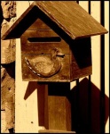 image of mailbox