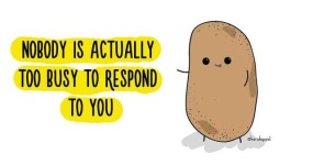 image of potato #11
