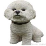 image of animal