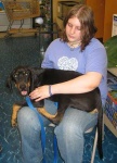 image of black_and_tan_coonhound #20