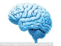 image of brain #26