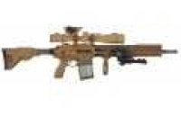 image of gun