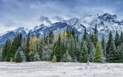 image of snowy