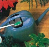 image of house_plant