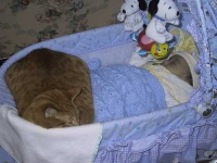 image of bassinet