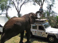 image of jeep_car