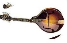 image of mandolin