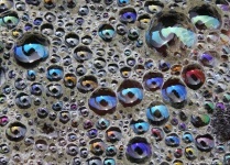 image of bubbly #18