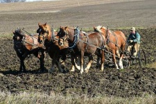 image of plow