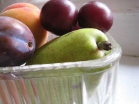 image of fig
