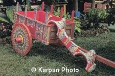 image of oxcart #15