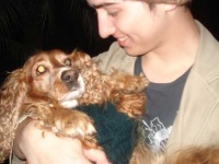 image of cocker_spaniel