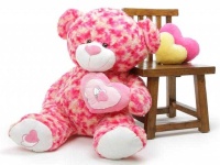 image of teddy_bear