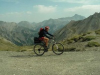 image of alp