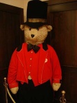 image of teddy
