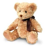 image of teddy_bear