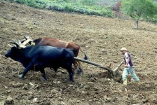 image of plow