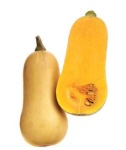 image of butternut_squash #7