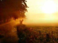 image of weather