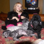 image of miniature_poodle #5