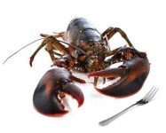 image of lobster