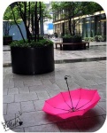 image of umbrella