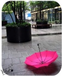 image of umbrella #4