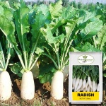 image of fruit_and_vegetable