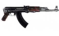 image of gun