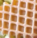image of texture