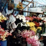 image of indoor