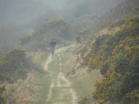 image of mountain_bike