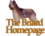 image of briard