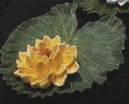 image of water_lilly