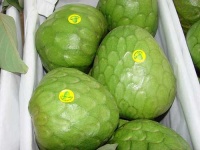 image of custard_apple #12