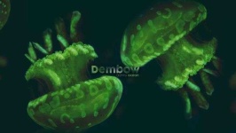 image of ocean