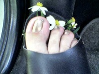 image of clog