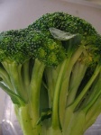 image of broccoli