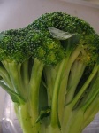 image of broccoli #29