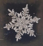 image of snowflake