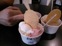 image of food