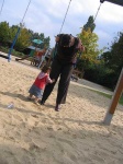 image of swing