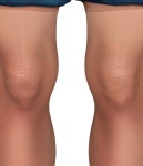 image of human_body_parts