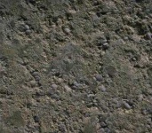 image of texture