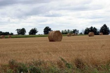 image of hay