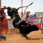 image of bull_riding #11