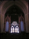 image of organ #11