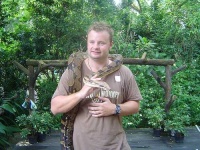 image of boa_constrictor