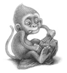 image of monkey #2