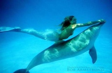 image of mermaid